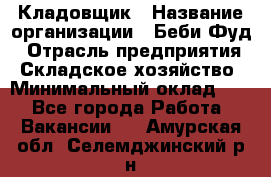 Кладовщик › Название организации ­ Беби Фуд › Отрасль предприятия ­ Складское хозяйство › Минимальный оклад ­ 1 - Все города Работа » Вакансии   . Амурская обл.,Селемджинский р-н